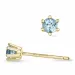 2 x 0,10 ct akvamariinia solitaire-nappikorvakorut 9 karaatin kultaa kanssa akvamariinia