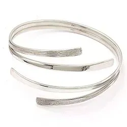 RS of Scandinavia rannerengas  hopeaa