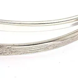 RS of Scandinavia rannerengas  hopeaa