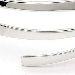 RS of Scandinavia rannerengas  hopeaa