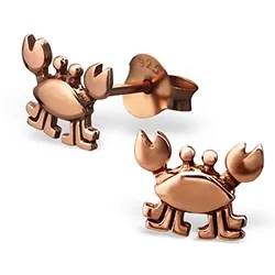 Rapu korvarenkaat  roosanväristä hopeaa