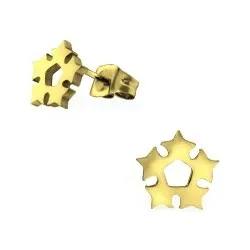 tähti korvarenkaat  kullattu teräs