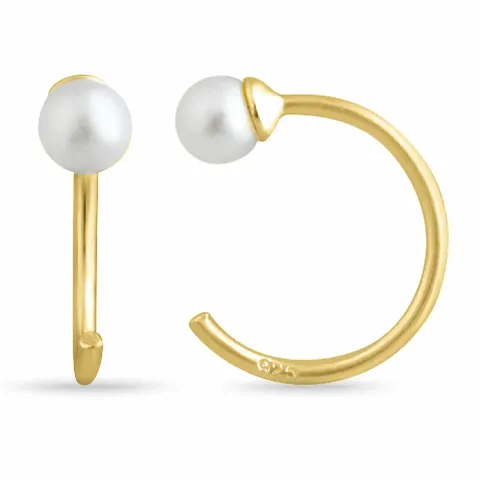 näytepakkaukset korvarenkaat  kullattua hopeaa