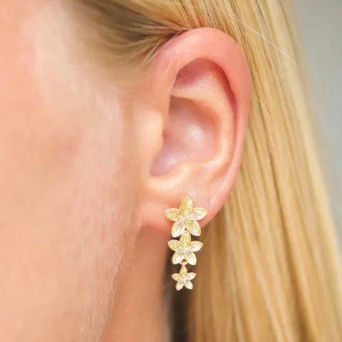 Nava Tiara korvarenkaat  kullattua hopeaa