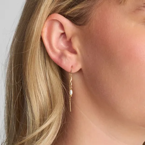 Studio Z Tangled helmi ear lines  kullattua hopeaa