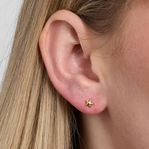 Studio Z Shiny Star korvarenkaat  kullattua hopeaa