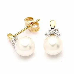 korvarenkaat 9 karaatin kultaa kanssa rodium kanssa zirkoni