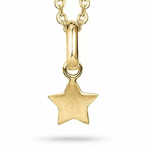 Aagaard star kaulaketju, jossa on riipus  kullattua hopeaa