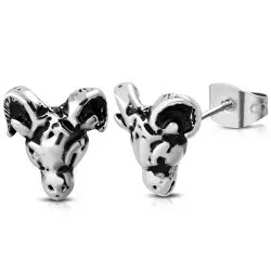 Korvarenkaat  teräs