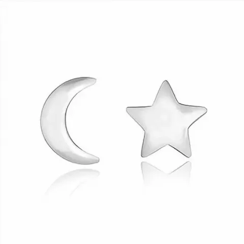 Kuu ja tähti nappikorvakorut  hopea