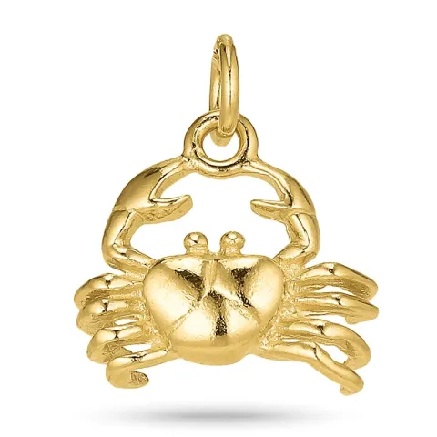 rapu riipus  kullattua hopeaa