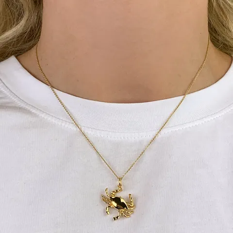 rapu riipus  kullattua hopeaa