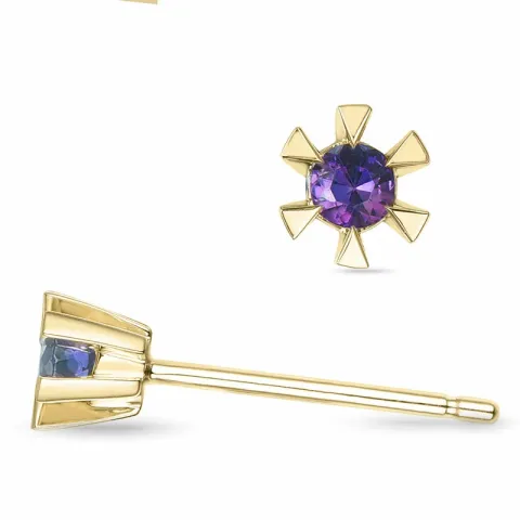 2 x 0,05 ct ametisti solitaire-nappikorvakorut 9 karaatin kultaa kanssa ametisti