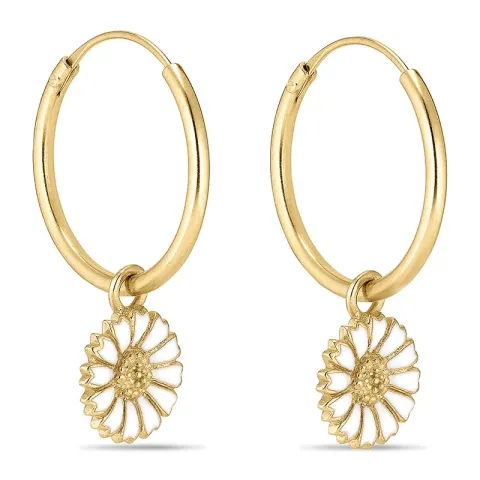 näytepakkaukset päivänkakkara rengas  kullattu hopea