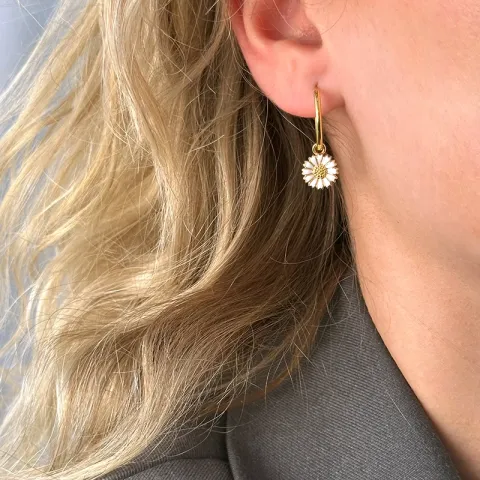 näytepakkaukset päivänkakkara rengas  kullattu hopea