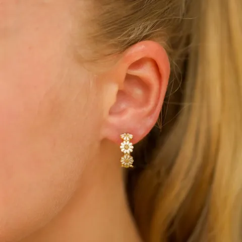 16 mm päivänkakkara rengaskorvakorut  kullattua hopeaa - Maggie