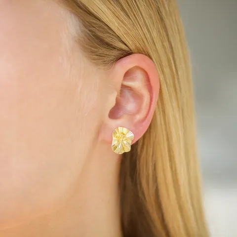 korvarenkaat  kullattu messinki - Eliné