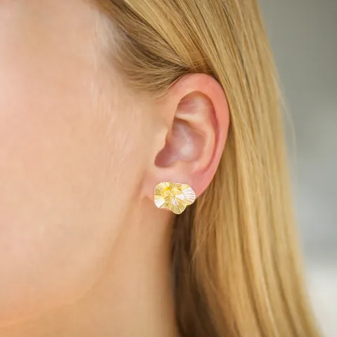 korvarenkaat  kullattu messinki - Eliné