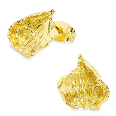 korvarenkaat  kullattu messinki - Eliné