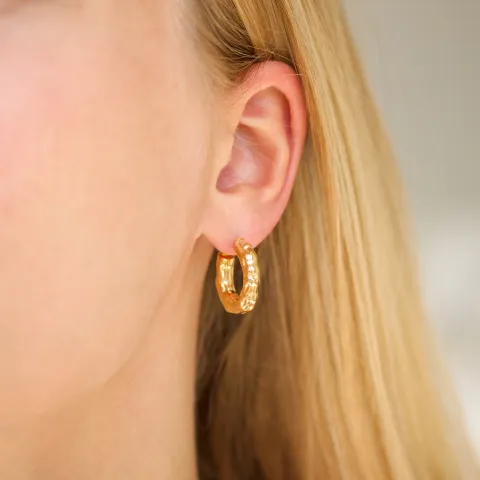 vedenkestävät rengaskorvakorut  kullattu teräs - OCEANA