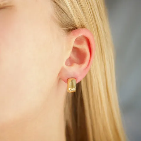 vedenkestävät rengaskorvakorut  kullattu teräs - OCEANA