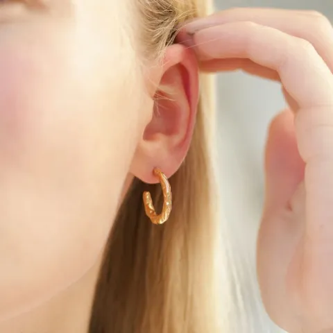 vedenkestävät rengaskorvakorut  kullattu teräs - OCEANA