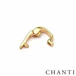 Riipusten CARI lukot kullattua hopeaa kanssa kiiltävä pinta