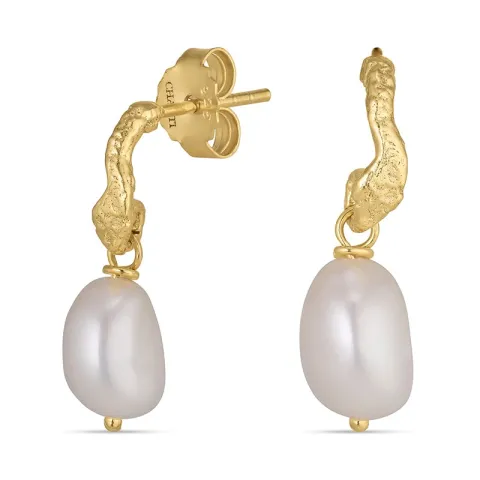 helmi korvarenkaat  kullattua hopeaa - Lumé Etched