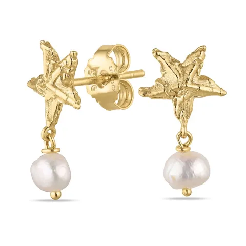 meritähti helmi korvarenkaat  kullattu messinki - Eliné