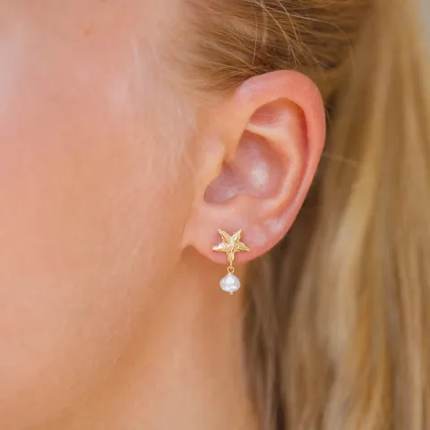 meritähti helmi korvarenkaat  kullattu messinki - Eliné