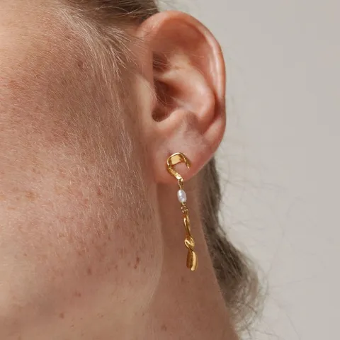 Enamel Sienna korvarenkaat  kullattua hopeaa