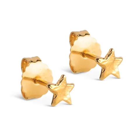 Enamel Star Energy nappikorvakorut  kullattua hopeaa