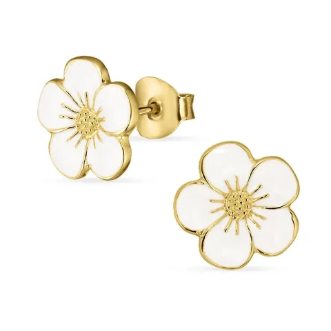 näytepakkaukset leinikki nappikorvakorut  kullattua hopeaa