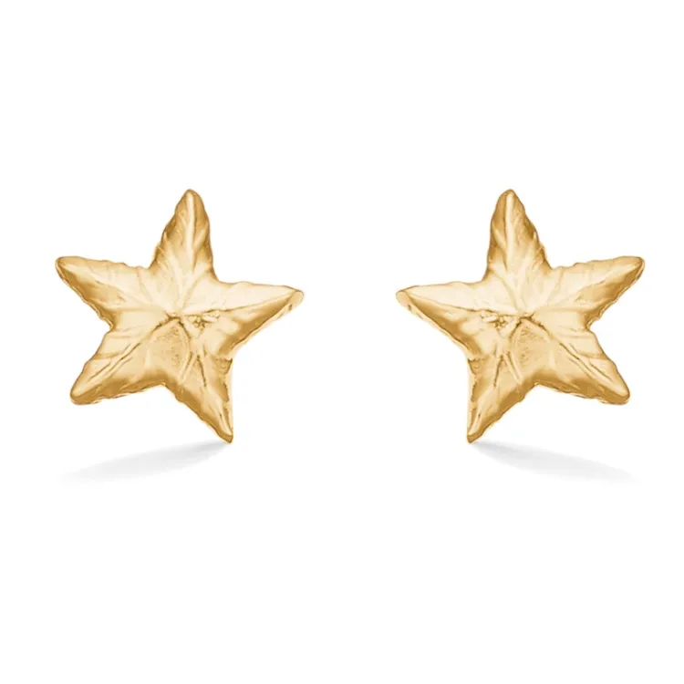 Studio Z Shiny Star korvarenkaat  kullattua hopeaa