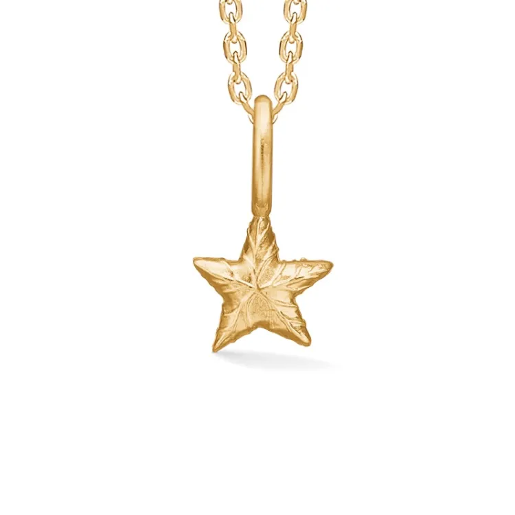 Studio Z Shiny Star kaulaketju  kullattua hopeaa