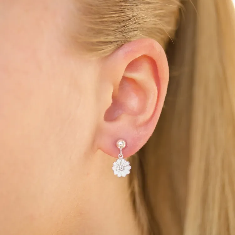 8 mm päivänkakkara nappikorvakorut  hopea - Maggie