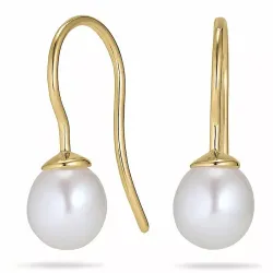 Ovaaleja 8 - 9 mm makeanveden helmi, aaa-graded korvarenkaat 14 karaatin kultaa kanssa