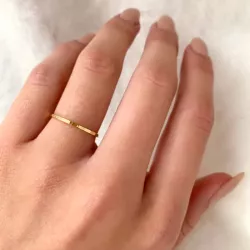 Elegantti Simple Rings sormus  kullattua hopeaa
