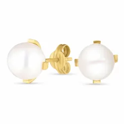 8,5 mm pyöreitä korvarenkaat 9 karaatin kultaa kanssa  - Gold Collection