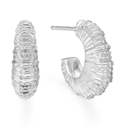 Studio Z Seashell Secrets nappikorvakorut  hopeaa