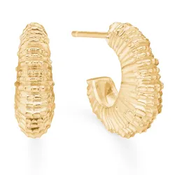 Studio Z Seashell Secrets nappikorvakorut  kullattua hopeaa