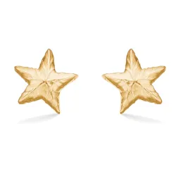 Studio Z Shiny Star korvarenkaat  kullattua hopeaa