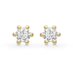 2,5 mm Støvring Design nappikorvakorut  kullattua hopeaa valkoinen zirkoni