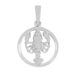 15 mm Siersbøl tähtikuvio rapu riipus  rodinoitua hopeaa