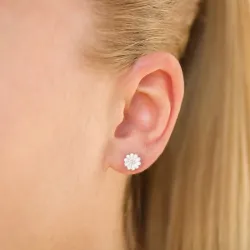 6,5 mm päivänkakkara nappikorvakorut  hopea - Maggie