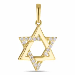 daavidin tähti zirkoni riipus  8 karaatin kultaa - Gold Collection