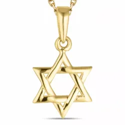 daavidin tähti kaulaketju kullattua hopeaa riipus 8 karaatin kultaa - Gold Collection