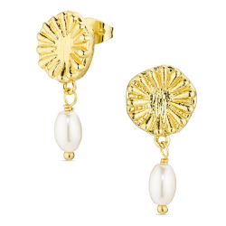 helmi korvarenkaat  kullattu messinki - Eliné