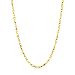 vedenkestävät kaulaketju kullattu teräs - OCEANA