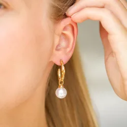 vedenkestävät helmi rengaskorvakorut  kullattu teräs - OCEANA